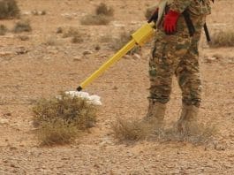 Landmine Monitor 2025