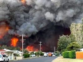 NSW bushfires
