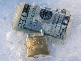 frozen Russian assets