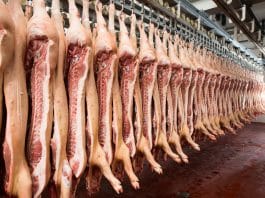 meatpacking line speeds