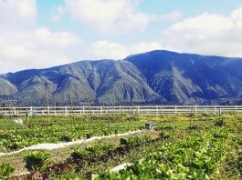 California small farms