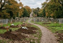 Grim Cumuto Cemetery Discovery: Urgent Probe After 56 Bodies, Including 50 Infants, Found Cumuto Cemetery