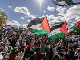 Palestine Legal report