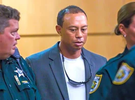 Tiger Woods DUI