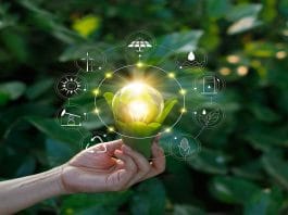 bioeconomy