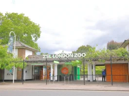 london zoo