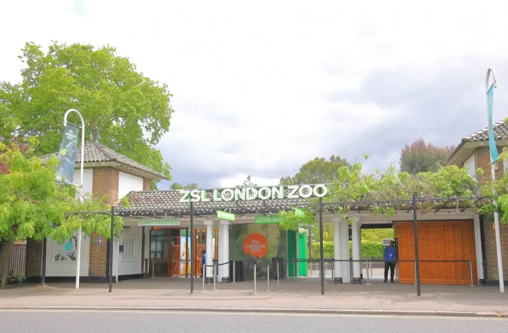 london zoo