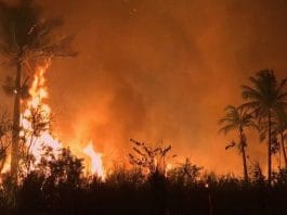 Everglades Wildfires