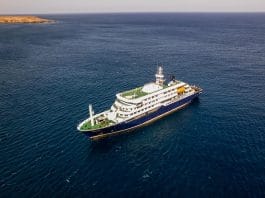 Hantavirus Cruise Ship