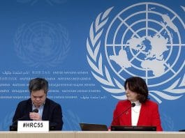 UN News briefing